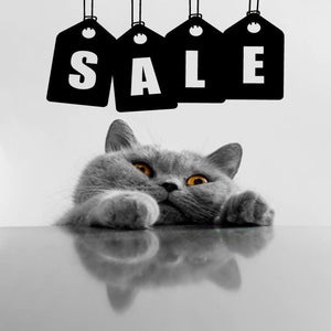 clearance accessories sale by Kitty Kat