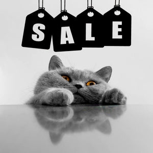 Kitty Kat Accessories Clearance Sale